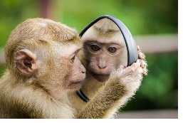 How to Draw the Ray Diagram for Reflection at a Plane Surface Using Huygens’ Principle– Smarter Techniques