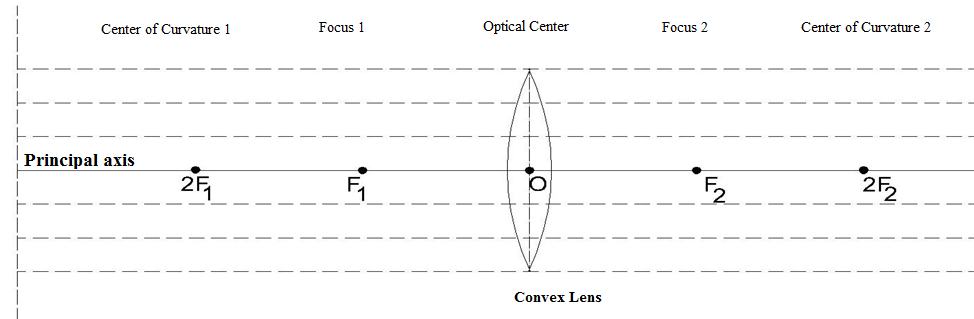 How to draw ray diagrams for a Convex Lens, Compound Microscope and ...