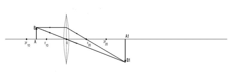 How to draw ray diagrams for a Convex Lens, Compound Microscope and ...