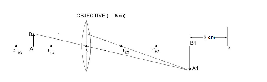 How to draw ray diagrams for a Convex Lens, Compound Microscope and ...