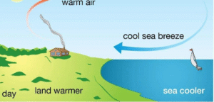 Sea breeze